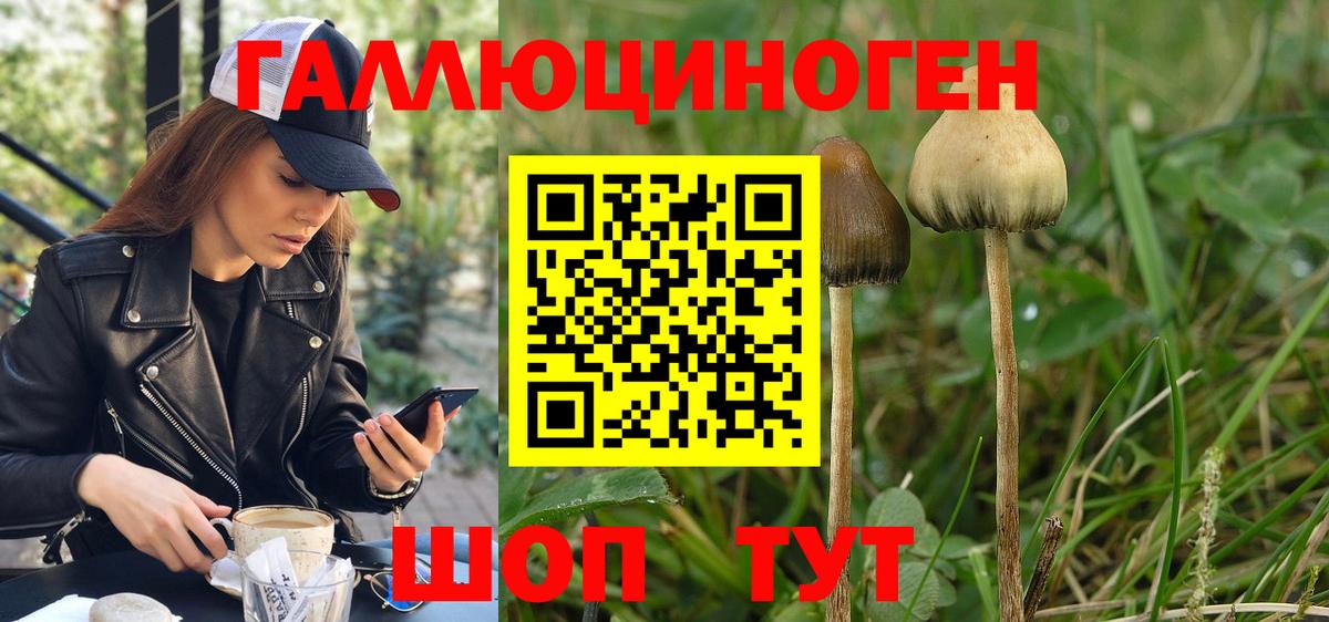 Псилоцибиновые грибы Magic Shrooms  Вход с VPN  Галлюциногенные грибы Psilocybe  Среднеуральск 